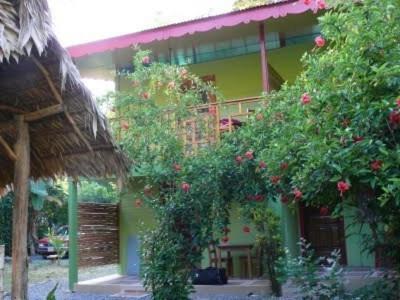 Hotel Blue Conga à Puerto Viejo de Talamanca Extérieur photo
