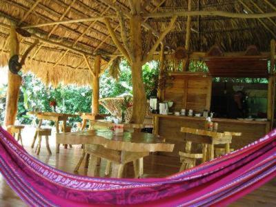 Hotel Blue Conga à Puerto Viejo de Talamanca Extérieur photo