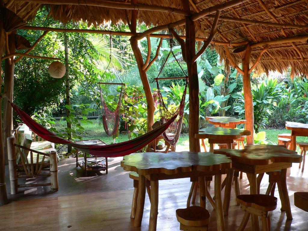 Hotel Blue Conga à Puerto Viejo de Talamanca Extérieur photo