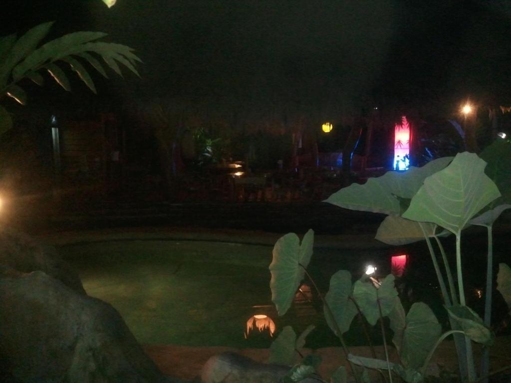 Hotel Blue Conga à Puerto Viejo de Talamanca Extérieur photo